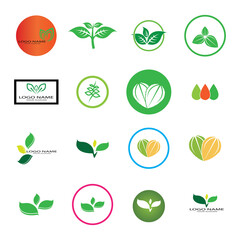 leaf logo icon vector design template