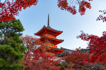 Obraz premium [京都]清水寺の三重塔の風景