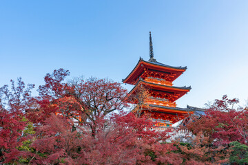 Obraz premium [京都]清水寺の三重塔の風景