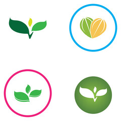 leaf logo icon vector design template