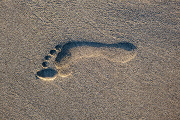 Fototapeta na wymiar Bare foot footprint on beach sand with copy space