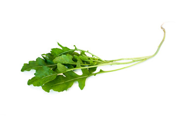 Green lettuce isolated on white background.