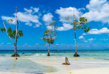 Elephant Beach, Havelock Island, Andaman, India