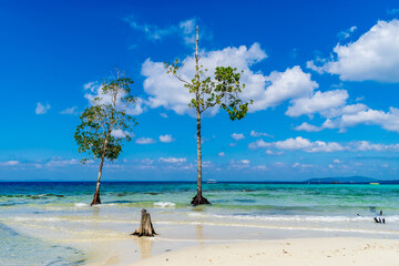 Elephant Beach, Havelock Island, Andaman, India	