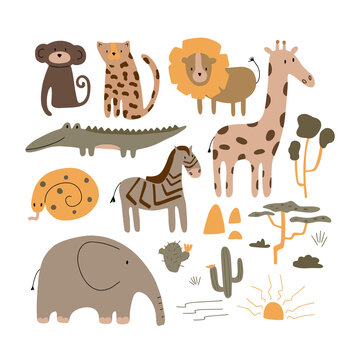 Set with tropical animals and plants. Vector illustration on white background.