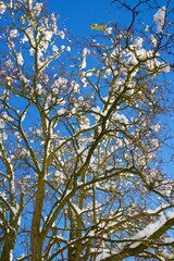 Winter in the Pyrenees