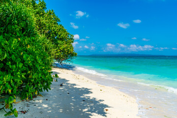 Kalapathar Beach, Havelock Island, Andaman, India