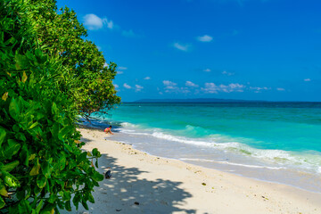 Kalapathar Beach, Havelock Island, Andaman, India	