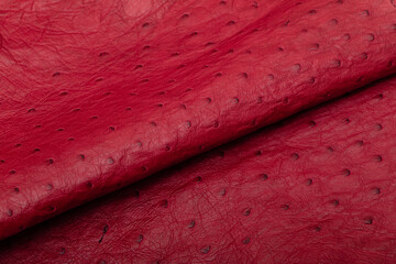 red dyed genuine natural ostrich leather material for handbags and shoes	