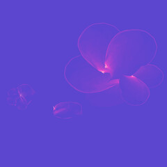 Delicate abstract flower with glow for design.3d.