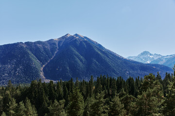 Obraz premium trees beautiful view of nature travel Adventures