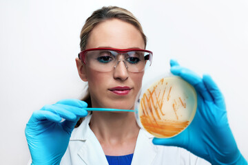 lab technician holding petri dish with bacterial colonies of Streptococcus agalactiae in the...