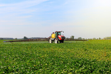 Tractor spraying plant protection products on a green sugar beet field.