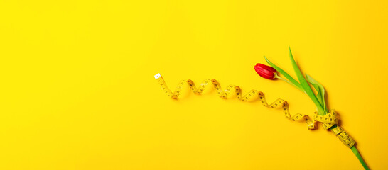 One red tulip and centimeter tape on a yellow background with copy space text place. Fitness...