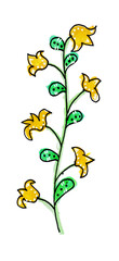 Blume mit 6 gelben Blüten
