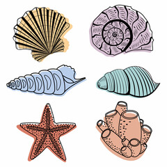 A set of colored seashells. Isolated vector illustration on a white background