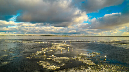 Aerial view of seagulls on a frozen lake