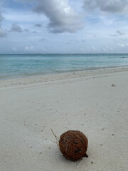 Evening in the Maldives, view of the Indian Ocean with white sand, coconut and azure water