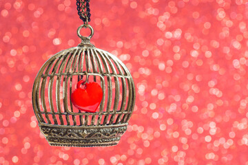 Heart in a bird cage