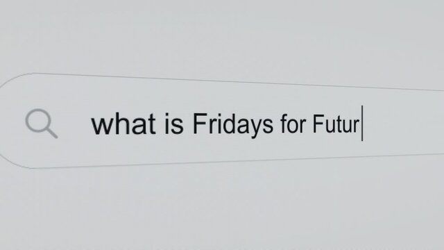 What is Fridays for future? - Pc screen internet browser search engine bar typing climate movement related question.