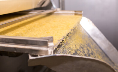 Fototapeta na wymiar Pasta factory conveyor for pasta production of flour products. Technological production factory industrial work. Raw macaroni close-up with copy space.