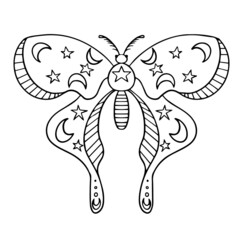 Mystical drawing. Butterfly makhaon sketch with shapes. Black and white.