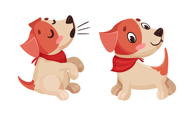 Cute puppy daily routine set. Funny adorable pet animal cartoon vector illustration