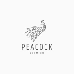 Fototapeta na wymiar Peacock line art logo vector icon design template