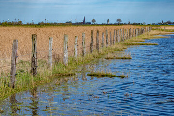 Die Landschaft der Ostseeinsel Fehmarn mit einem Weidezaun in Schleswig Holstein im Sommer