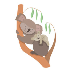 Cute characters koalas. Funny sleeping animals. Object isolated on white background.