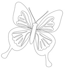 butterfly, contour sketch on white background