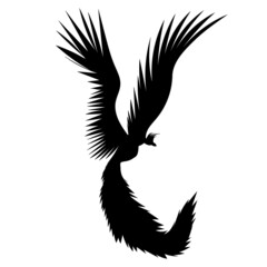 Fototapeta na wymiar phoenix bird, firebird black silhouette, isolated vector