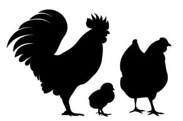 rooster, hen, chick, black silhouette, isolated vector