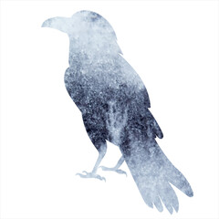 Fototapeta premium Raven watercolor silhouette, isolated vector