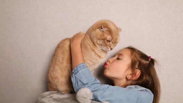 Smiling little girl snuggling and kissing her ginger cat while he sitting on scratching in living room at home, love pets, Child playing with cat, Children and domestic animals