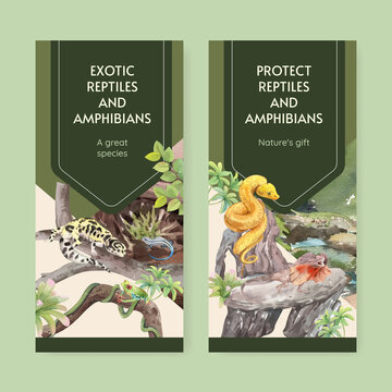 Flyer template with reptiles and amphibians animal concept,watercolor style