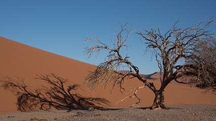 Fototapeta na wymiar Namibia, Sossusvlei, Namib-Naukluft Park
