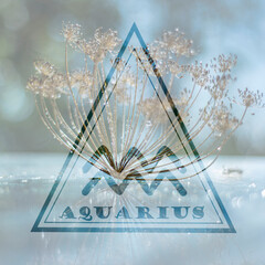 zodiac sign Aquarius in a triangle, the element of air in the horoscope, the sign of Aquarius on a blue background