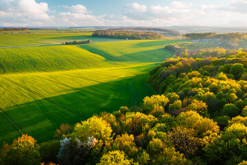 Fototapeta premium Bird's eye view of abstraction agricultural area and green wavy fields in sunny day.