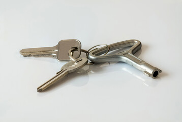 Keys on a metal ring, for an apartment, house, garage