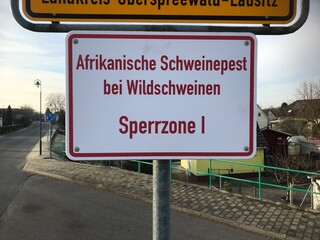 Warnung Schild Straßenschild jagd schweinepest afrikanische warnung wildschwein sars covid achtung...