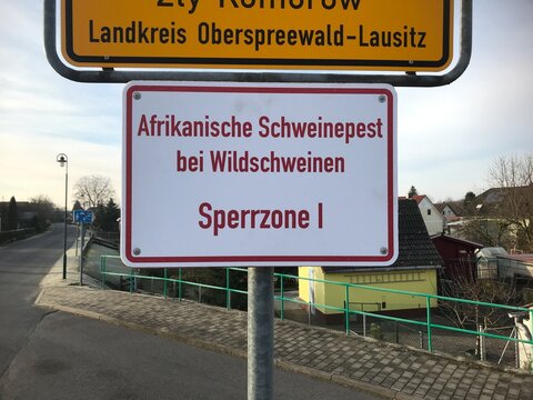 schild lausitz schweinepest sperrzone lausitz osl oberspreewald landkreis risiko