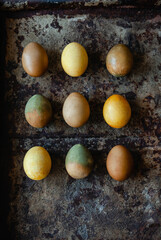 Naturally dyed eggs for Easter in vintage metal tray, festive greeting card, copy space