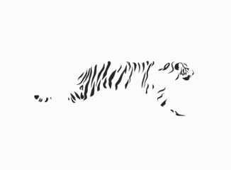 Hand drawn vector abstract stock graphic cartoon illustration with beauty cute trendy wildlife white,drawing tiger,black and white texture isolated on white background. Chinese New Year concept art.