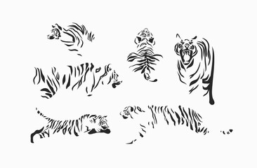 Hand drawn vector abstract stock graphic cartoon illustrations set with beauty cute trendy wildlife white,drawing tiger,black and white texture isolated on white background. Chinese New Year concept.