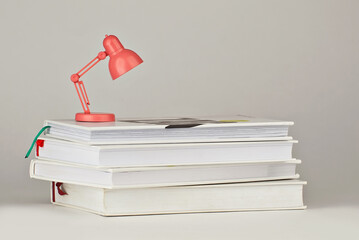 Pink table lamp on a white background. A small toy lamp near the books. The concept of learning,...