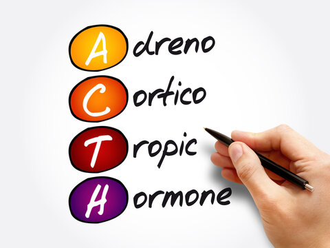 ACTH - Adrenocorticotropic hormone acronym, medical concept background