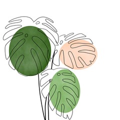 Monstera Leaf digital line art
