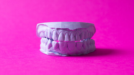 ceramic model of human teeth.