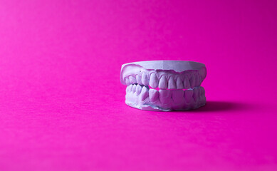 ceramic model of human teeth.